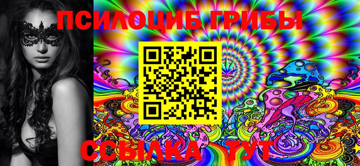 Галлюциногенные грибы Psilocybine cubensis Азнакаево