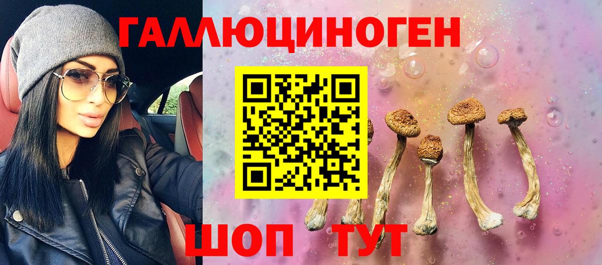 Азнакаево  Галлюциногенные грибы Magic Shrooms  Вход с VPN 